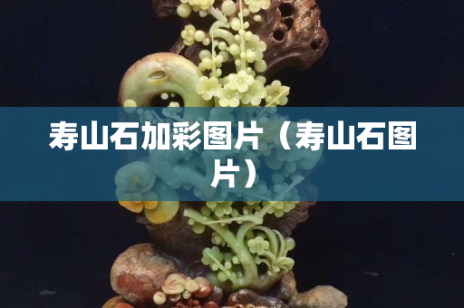 寿山石加彩图片（寿山石图片）