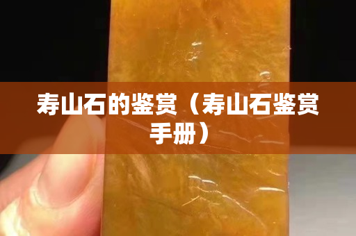 寿山石的鉴赏（寿山石鉴赏手册）