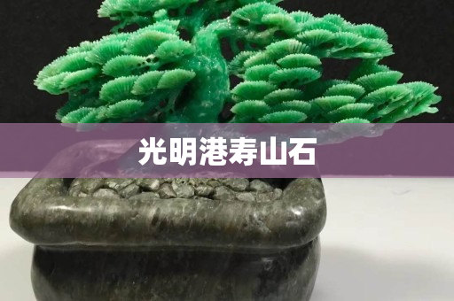 光明港寿山石