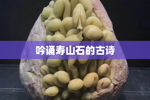 吟诵寿山石的古诗