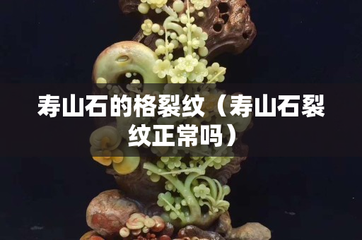 寿山石的格裂纹（寿山石裂纹正常吗）