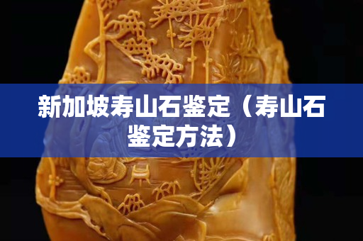 新加坡寿山石鉴定（寿山石鉴定方法）