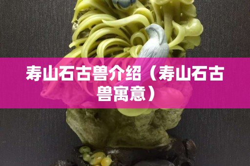 寿山石古兽介绍（寿山石古兽寓意）