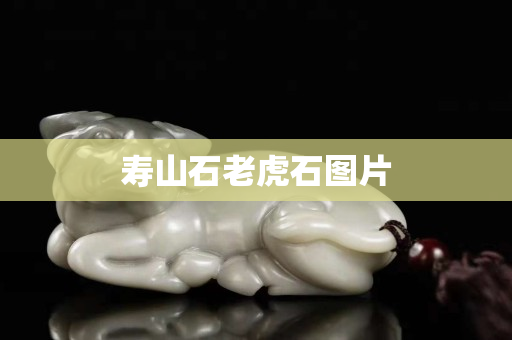 寿山石老虎石图片