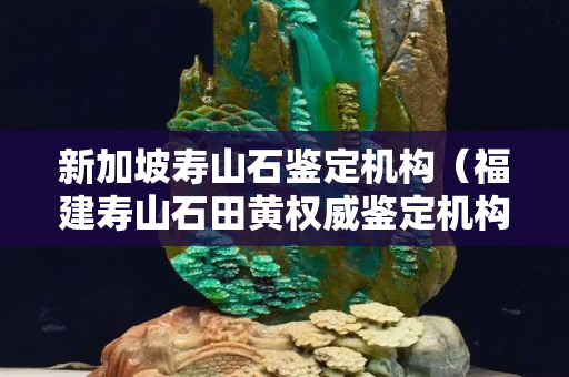 新加坡寿山石鉴定机构（福建寿山石田黄权威鉴定机构）