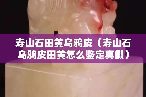 寿山石田黄乌鸦皮（寿山石乌鸦皮田黄怎么鉴定真假）