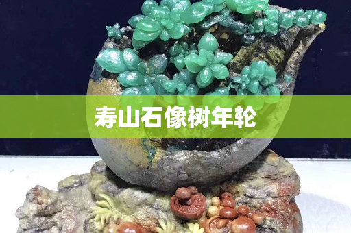 寿山石像树年轮