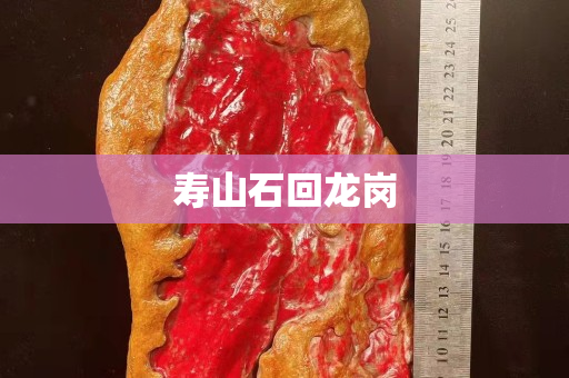 寿山石回龙岗