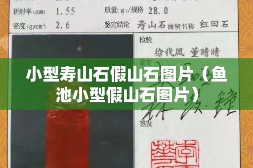 小型寿山石假山石图片（鱼池小型假山石图片）
