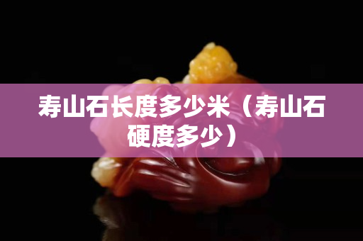 寿山石长度多少米（寿山石硬度多少）