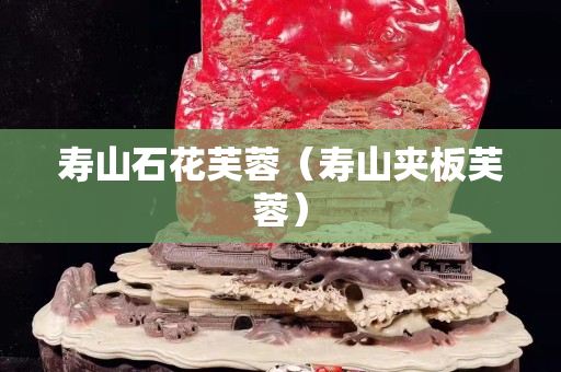 寿山石花芙蓉（寿山夹板芙蓉）