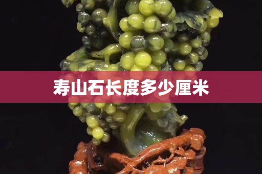 寿山石长度多少厘米