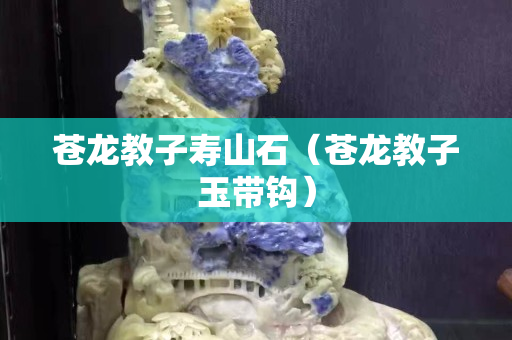 苍龙教子寿山石（苍龙教子玉带钩）