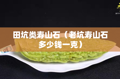 田坑类寿山石（老坑寿山石多少钱一克）