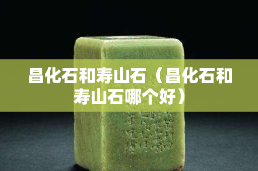 昌化石和寿山石（昌化石和寿山石哪个好）