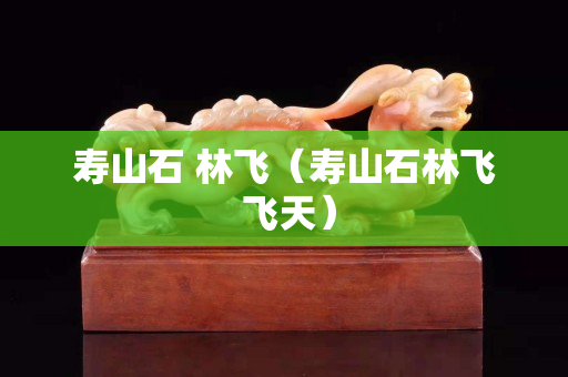 寿山石 林飞（寿山石林飞 飞天）