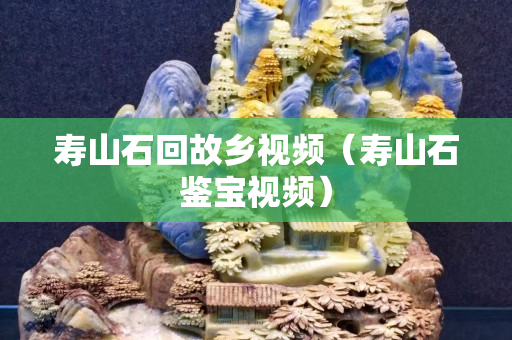 寿山石回故乡视频（寿山石鉴宝视频）