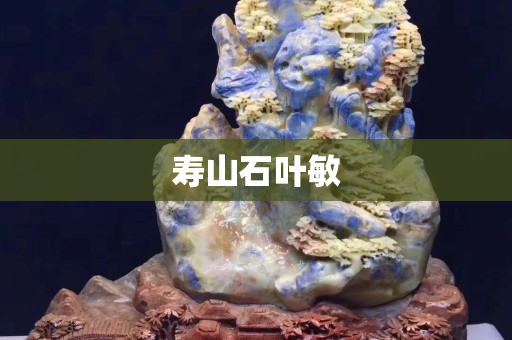 寿山石叶敏