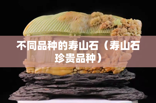 不同品种的寿山石（寿山石珍贵品种）