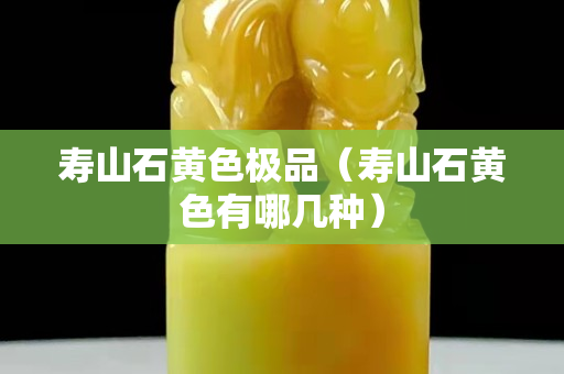 寿山石黄色极品（寿山石黄色有哪几种）