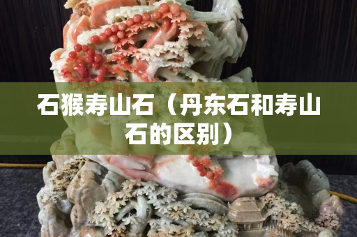 石猴寿山石（丹东石和寿山石的区别）