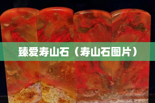 臻爱寿山石（寿山石图片）