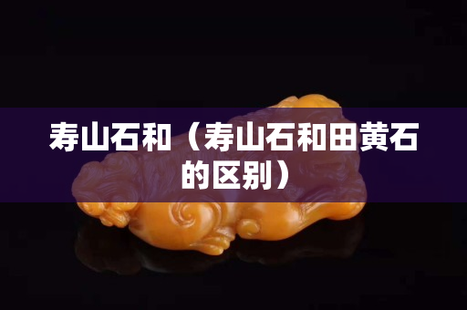 寿山石和（寿山石和田黄石的区别）