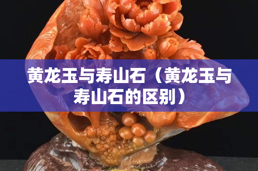 黄龙玉与寿山石（黄龙玉与寿山石的区别）