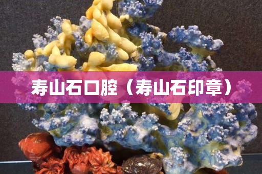 寿山石口腔（寿山石印章）