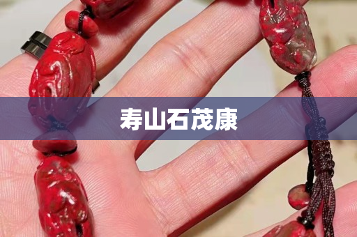 寿山石茂康