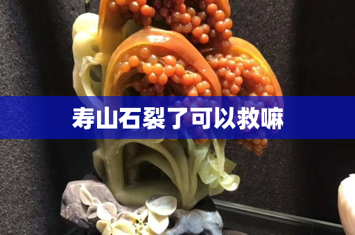 寿山石裂了可以救嘛