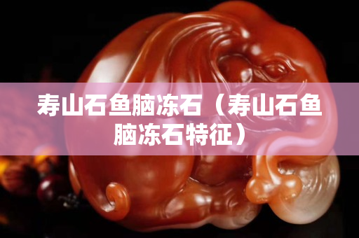寿山石鱼脑冻石（寿山石鱼脑冻石特征）