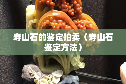 寿山石的鉴定拍卖（寿山石鉴定方法）