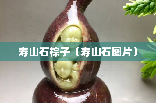 寿山石棕子（寿山石图片）