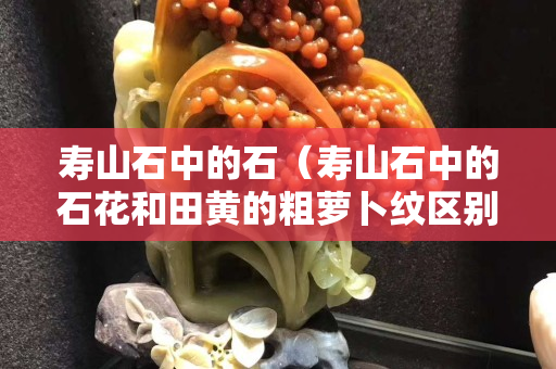 寿山石中的石（寿山石中的石花和田黄的粗萝卜纹区别）