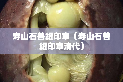 寿山石兽纽印章（寿山石兽纽印章清代）