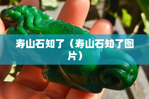 寿山石知了（寿山石知了图片）