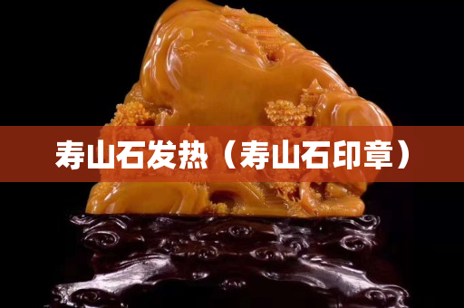 寿山石发热（寿山石印章）