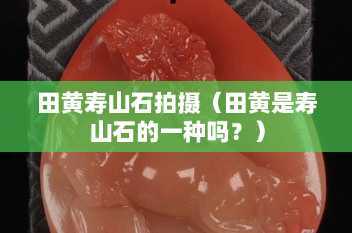 田黄寿山石拍摄（田黄是寿山石的一种吗？）