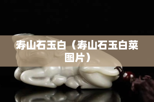寿山石玉白（寿山石玉白菜图片）