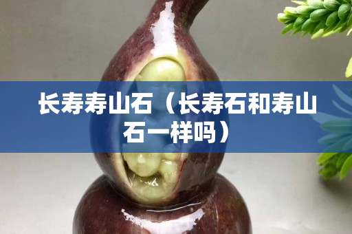 长寿寿山石（长寿石和寿山石一样吗）