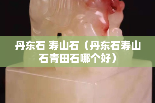 丹东石 寿山石（丹东石寿山石青田石哪个好）
