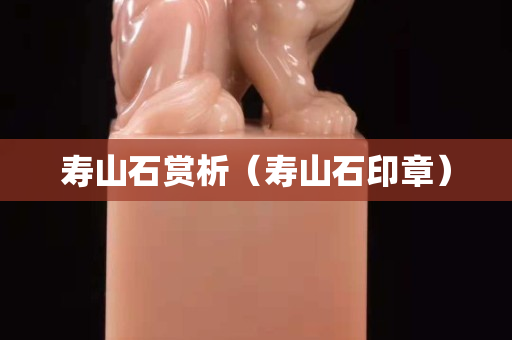 寿山石赏析（寿山石印章）