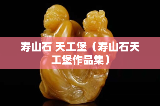 寿山石 天工堡（寿山石天工堡作品集）