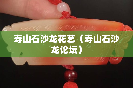 寿山石沙龙花艺（寿山石沙龙论坛）