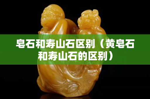 皂石和寿山石区别（黄皂石和寿山石的区别）