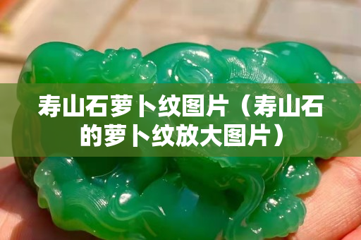 寿山石萝卜纹图片（寿山石的萝卜纹放大图片）