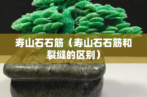 寿山石石筋（寿山石石筋和裂缝的区别）