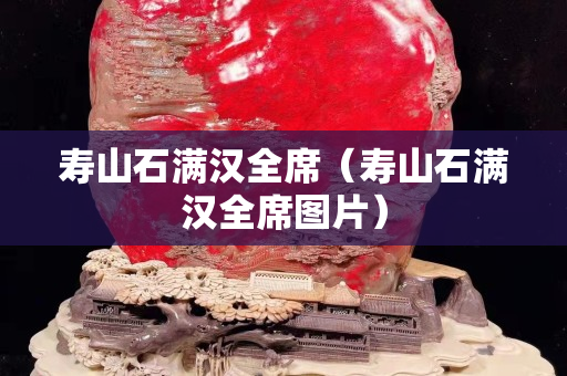 寿山石满汉全席（寿山石满汉全席图片）