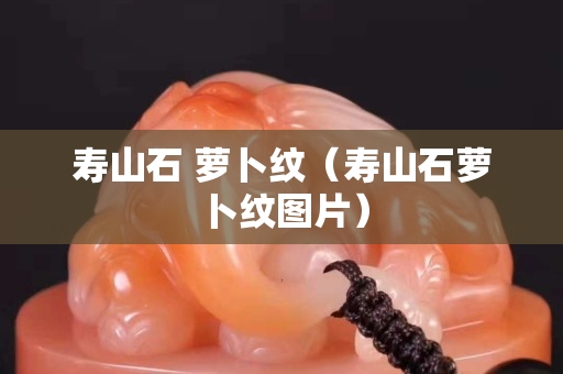 寿山石 萝卜纹（寿山石萝卜纹图片）